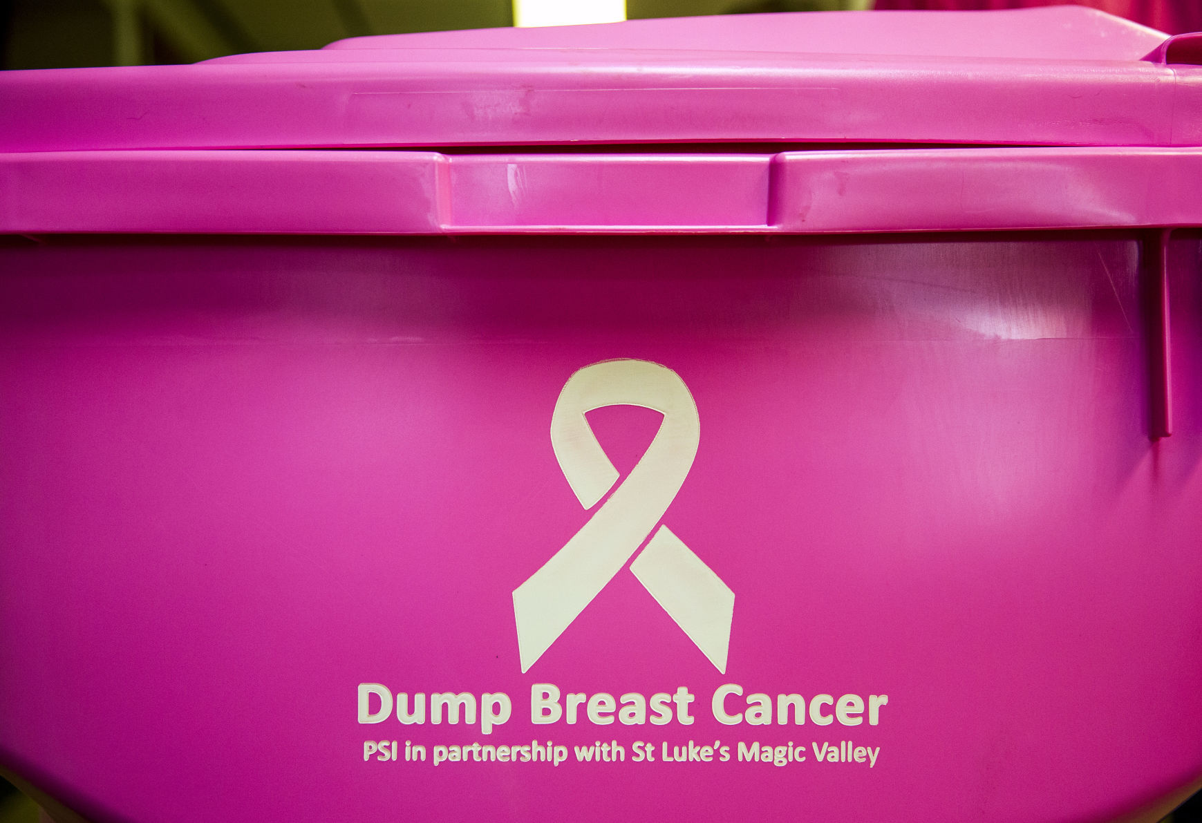 Pink trash cans